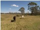 Somersby NSW 2250
