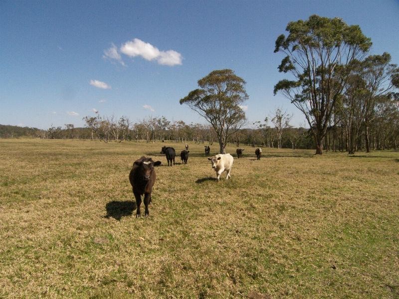 Somersby NSW 2250