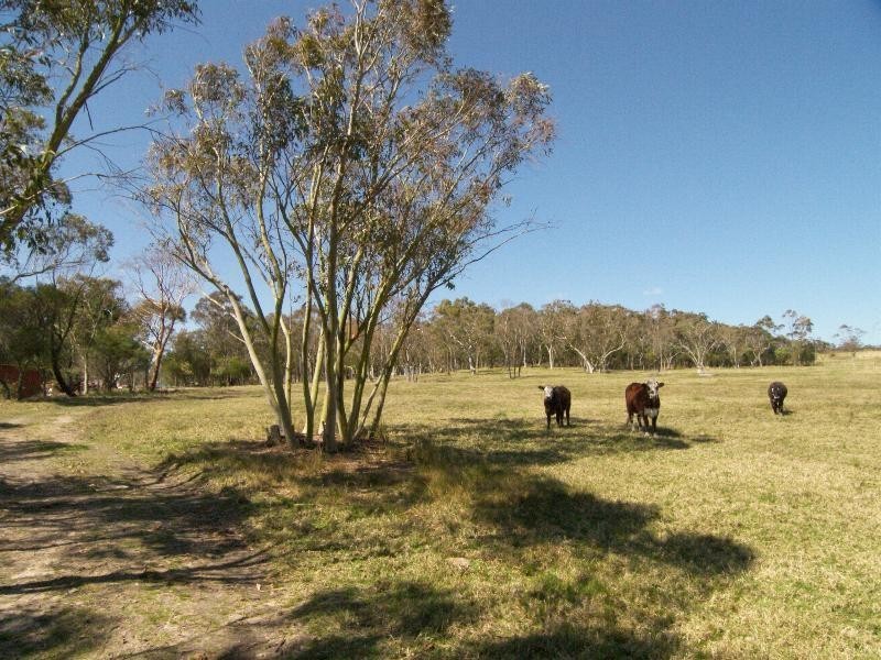 Somersby NSW 2250