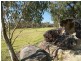Calga NSW 2250