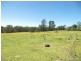 Central Mangrove NSW 2250