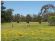 Central Mangrove NSW 2250