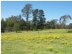 Central Mangrove NSW 2250