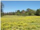 Central Mangrove NSW 2250