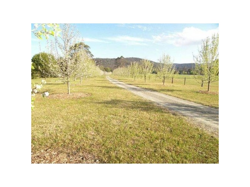 Yarramalong NSW 2259