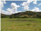 Cedar Brush Creek NSW 2259
