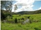Cedar Brush Creek NSW 2259