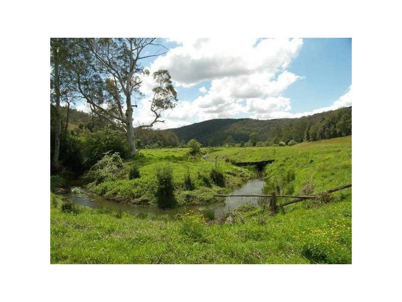 Cedar Brush Creek NSW 2259