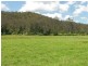 Cedar Brush Creek NSW 2259