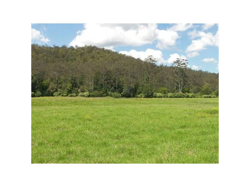 Cedar Brush Creek NSW 2259
