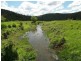Cedar Brush Creek NSW 2259