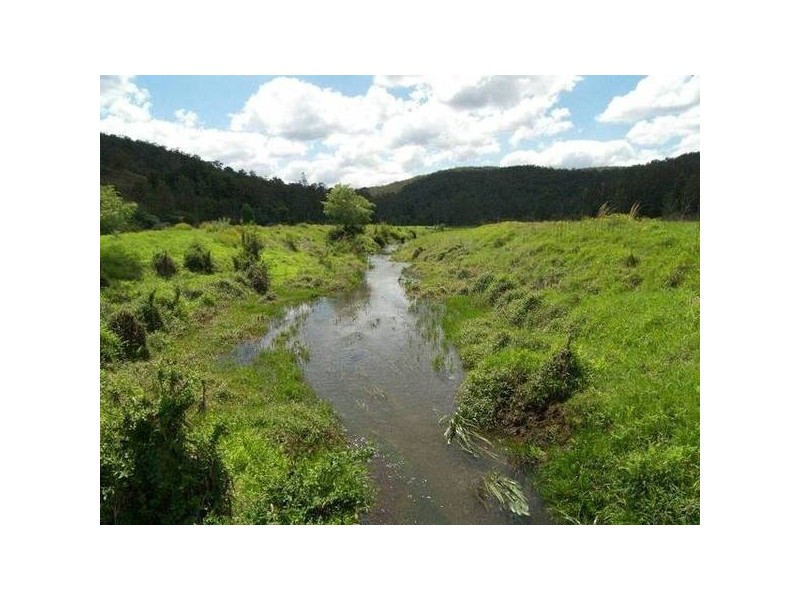 Cedar Brush Creek NSW 2259