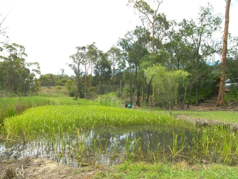Warnervale NSW 2259