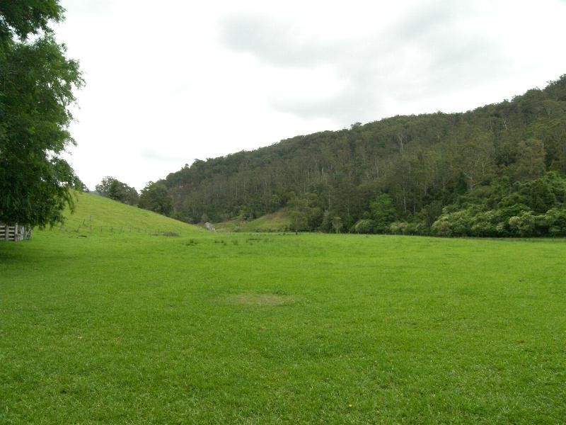 Cedar Brush Creek NSW 2259