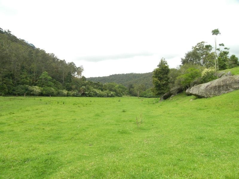 Cedar Brush Creek NSW 2259