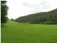 Cedar Brush Creek NSW 2259