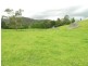 Cedar Brush Creek NSW 2259