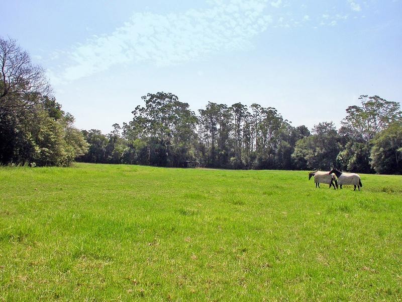 Jilliby NSW 2259