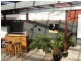 14 Jellico Street, Beauty Point TAS 7270