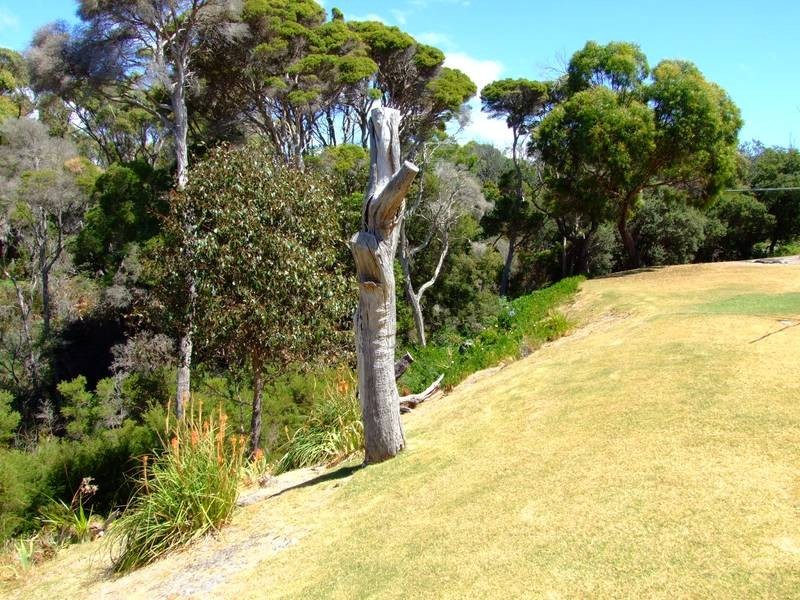 4 The Glade, Lulworth TAS 7252