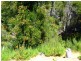 4 The Glade, Lulworth TAS 7252