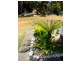 4 The Glade, Lulworth TAS 7252