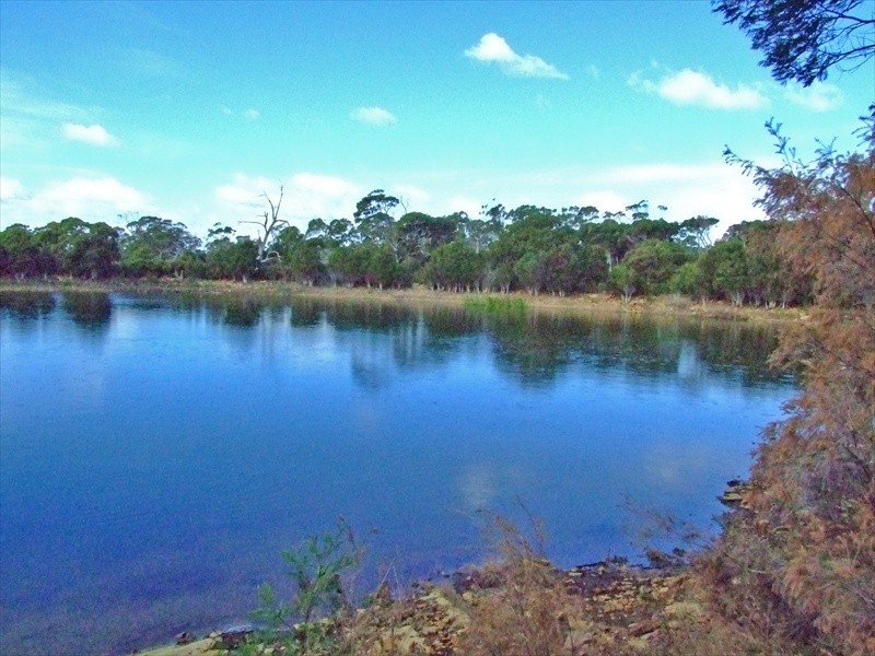 Kelso TAS 7270