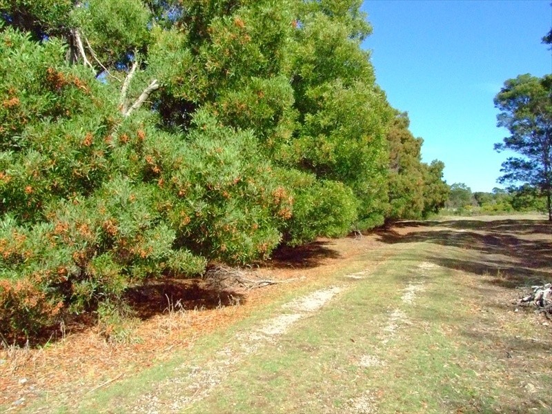 Kelso TAS 7270