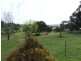 1 Mainwaring Street, Beauty Point TAS 7270