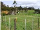 1 Mainwaring Street, Beauty Point TAS 7270