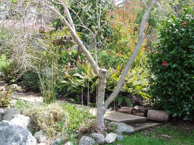 1 Robert Street, Beauty Point TAS 7270