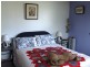 137 Macquarie Street, George Town TAS 7253
