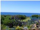 41 Ralph Street, Weymouth TAS 7252