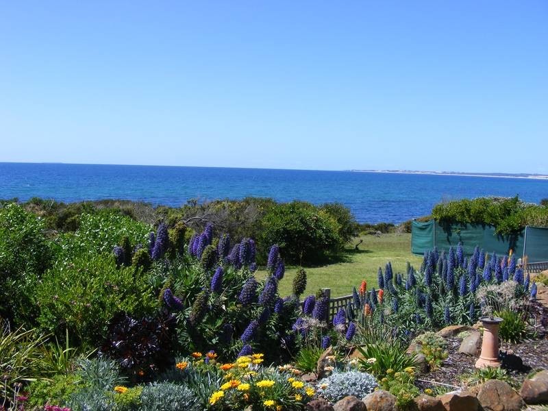 41 Ralph Street, Weymouth TAS 7252