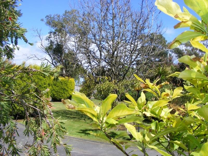 52 South Street, George Town TAS 7253