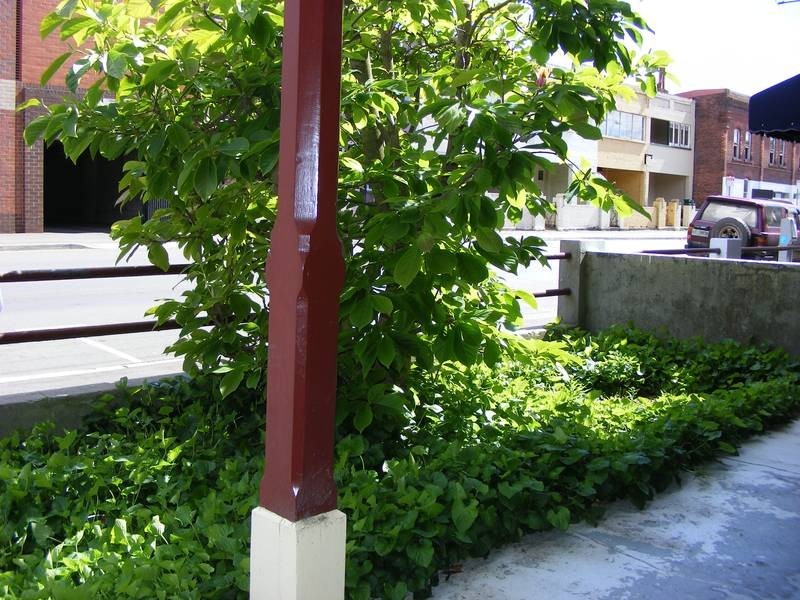 195 Brisbane Street, Launceston TAS 7250