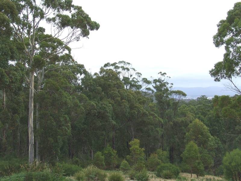 6524 Bridport Road, George Town TAS 7253