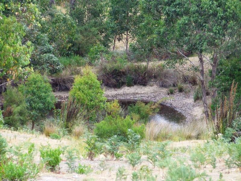 6524 Bridport Road, George Town TAS 7253