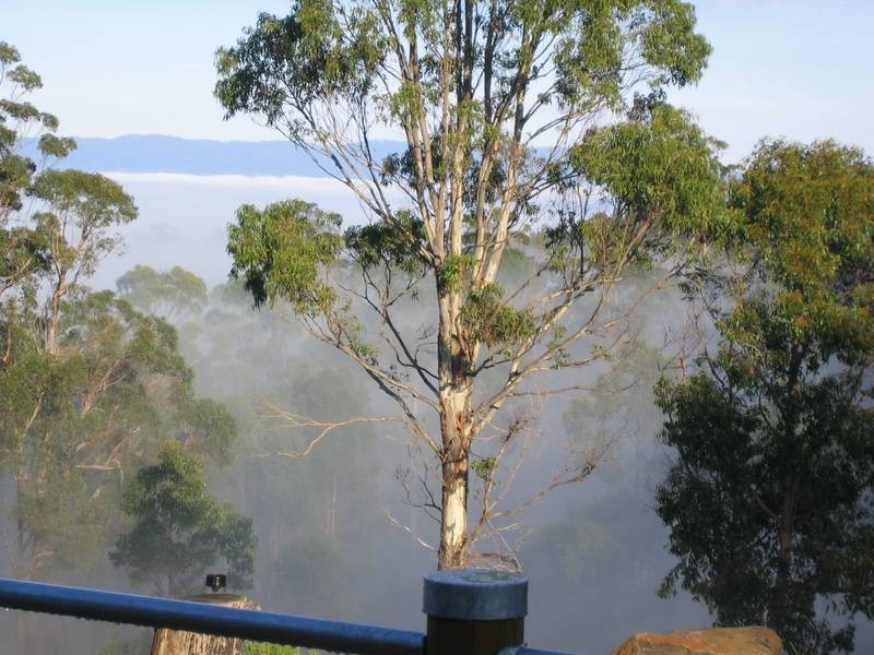 6524 Bridport Road, George Town TAS 7253