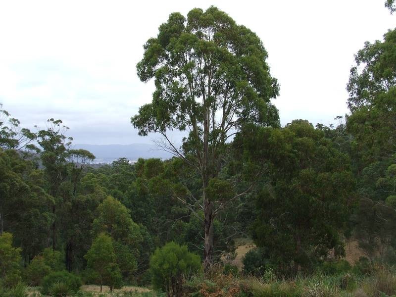 6524 Bridport Road, George Town TAS 7253