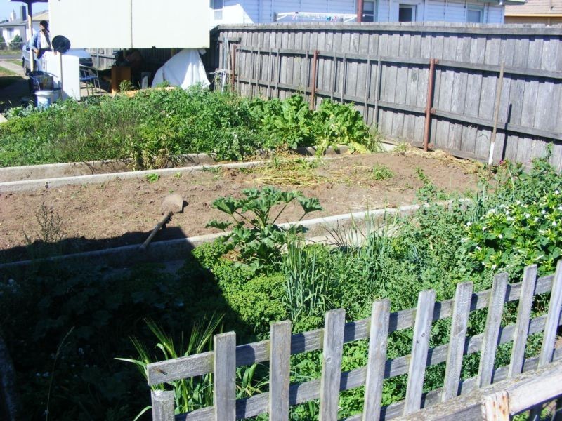 35 William Street, George Town TAS 7253