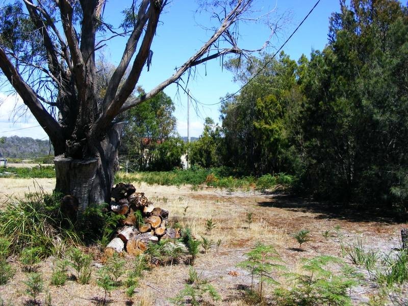 6 Miller Street, Weymouth TAS 7252
