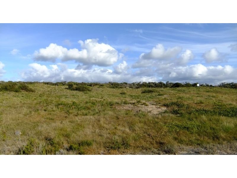 117 Bellbuoy Beach Road, Low Head TAS 7253