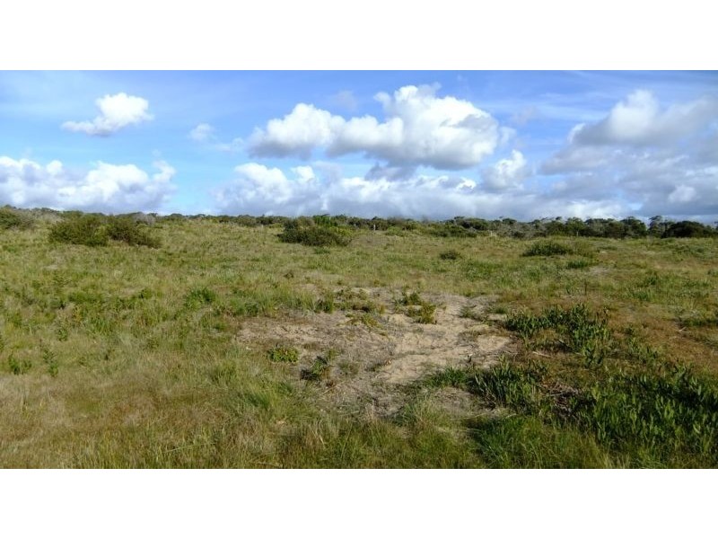 117 Bellbuoy Beach Road, Low Head TAS 7253
