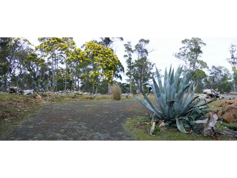 450 Lilydale Road, Underwood TAS 7268