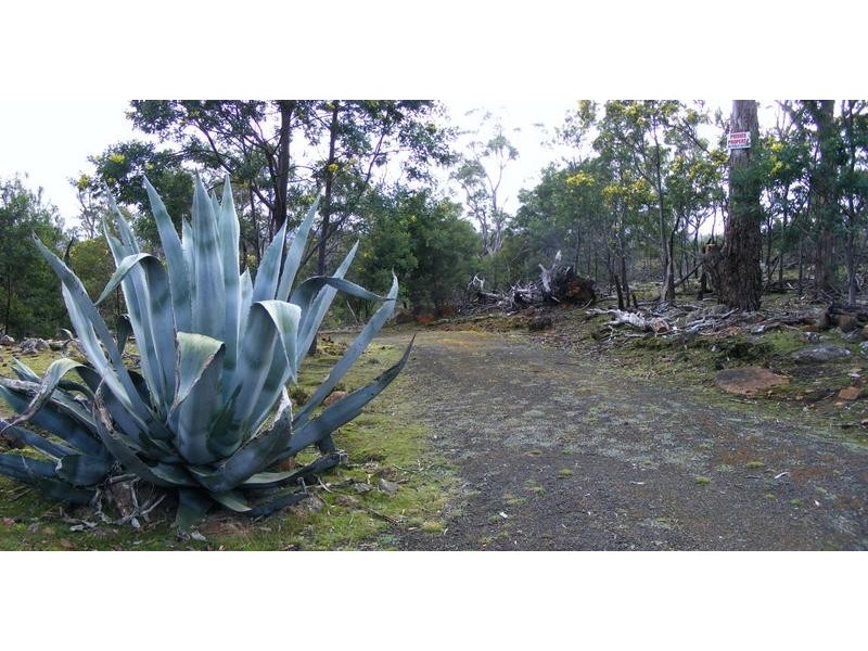 450 Lilydale Road, Underwood TAS 7268