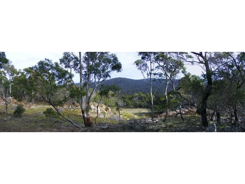 450 Lilydale Road, Underwood TAS 7268