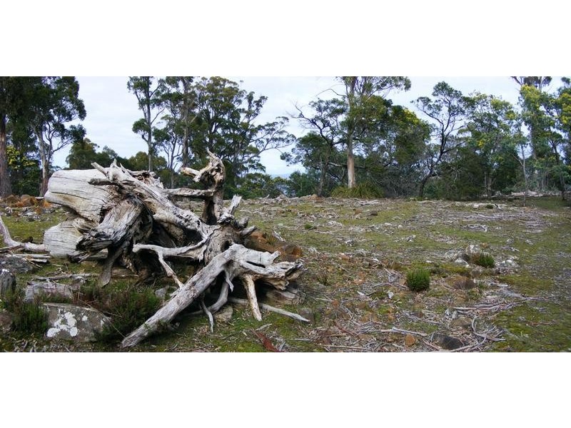 450 Lilydale Road, Underwood TAS 7268