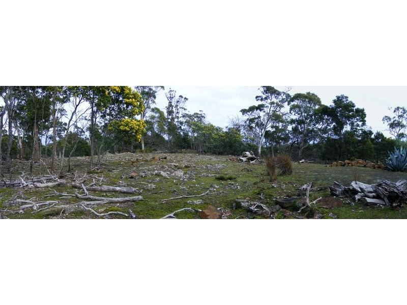 450 Lilydale Road, Underwood TAS 7268