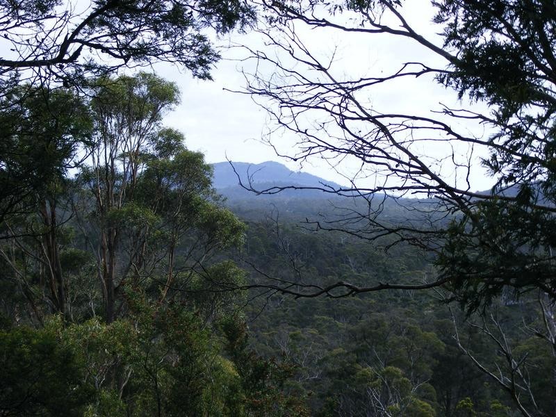 450 Lilydale Road, Underwood TAS 7268